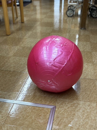 大きなボールも運動会の道具の一つ。安全に配慮しながら、楽しく身体を動かします。